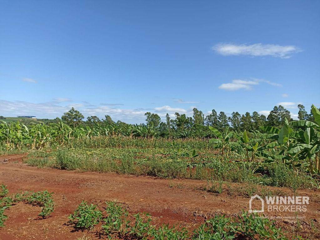 Chácara à venda com 1 quarto, 13600M2 - Foto 4