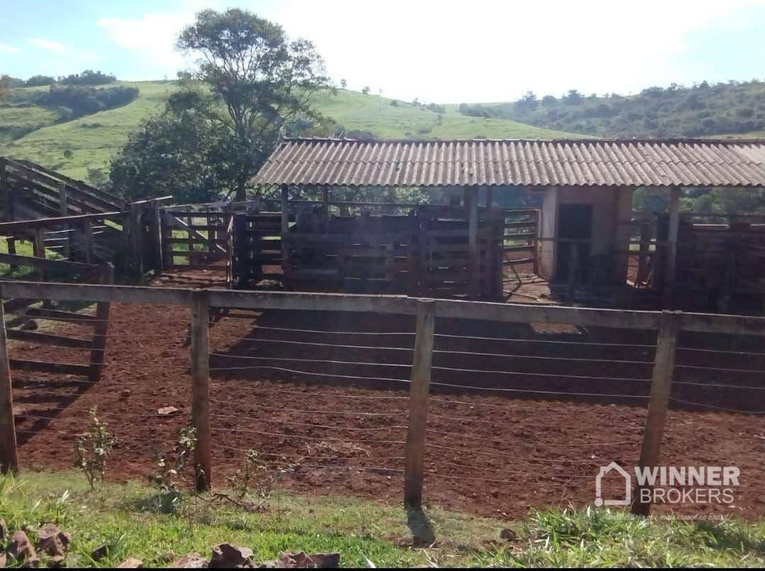 Fazenda à venda com 2 quartos, 2299000M2 - Foto 4