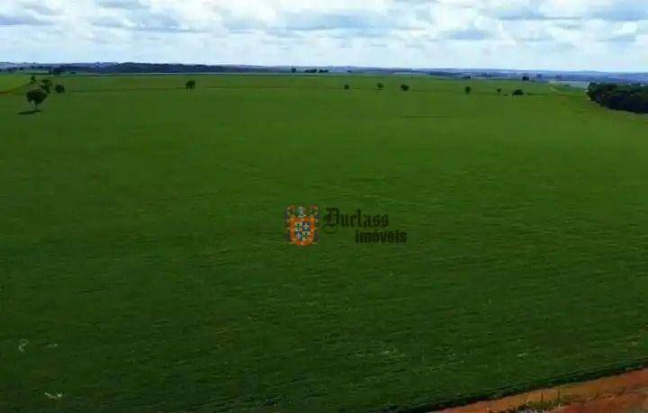 Fazenda, 231 hectares - Foto 12