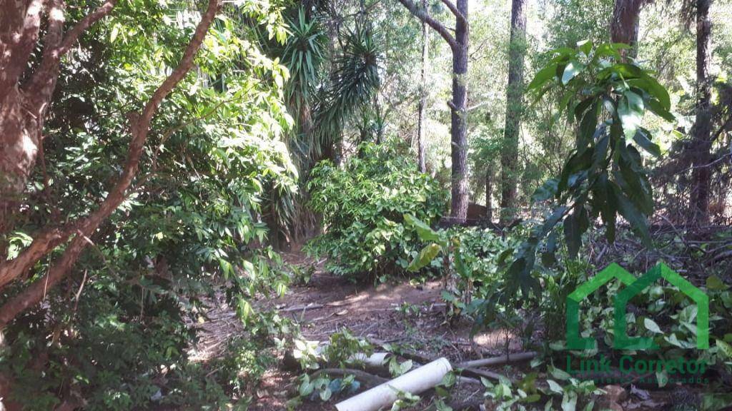 Chácara à venda com 2 quartos, 1268M2 - Foto 16