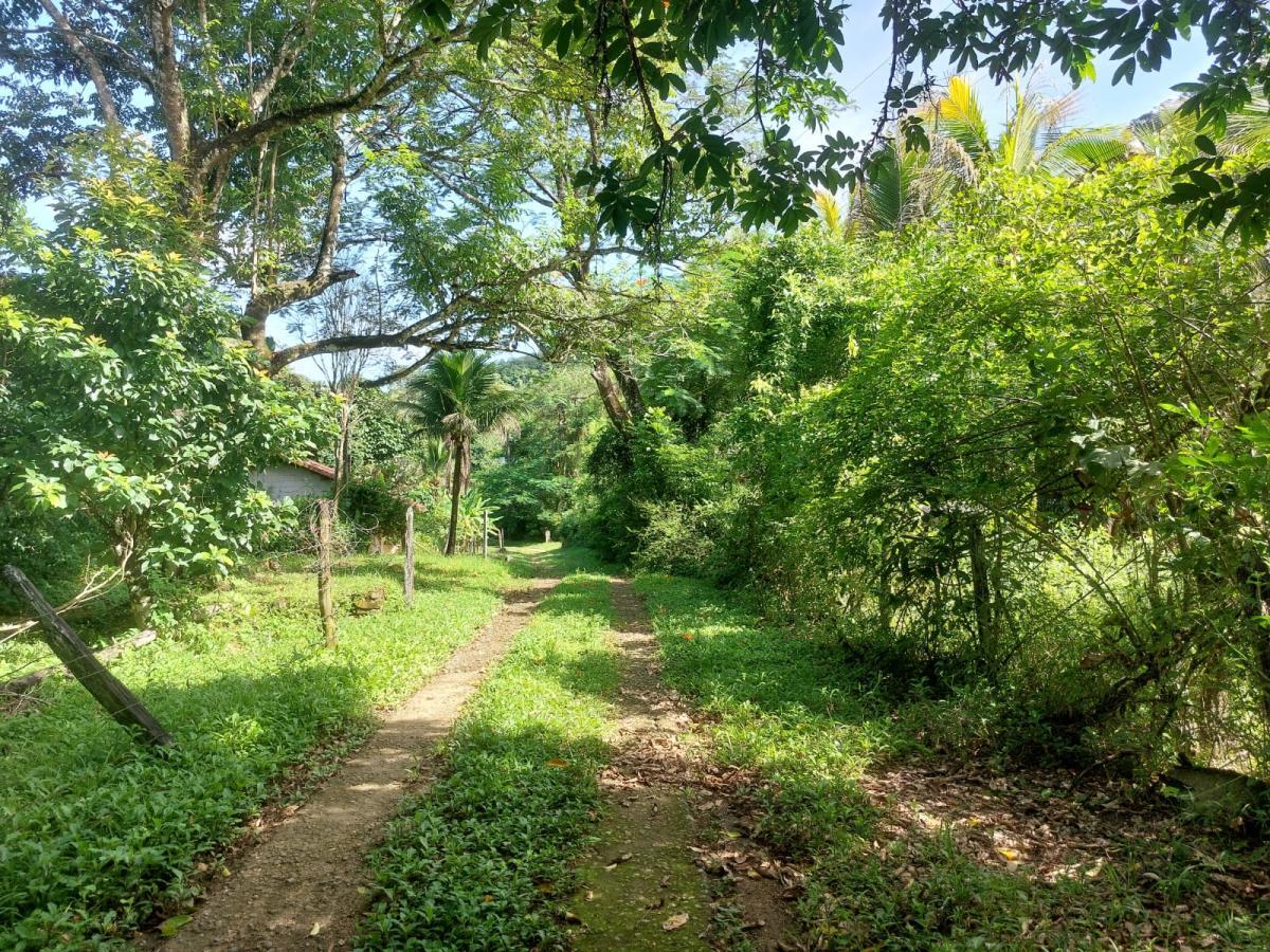 Fazenda à venda com 3 quartos, 68000m² - Foto 12