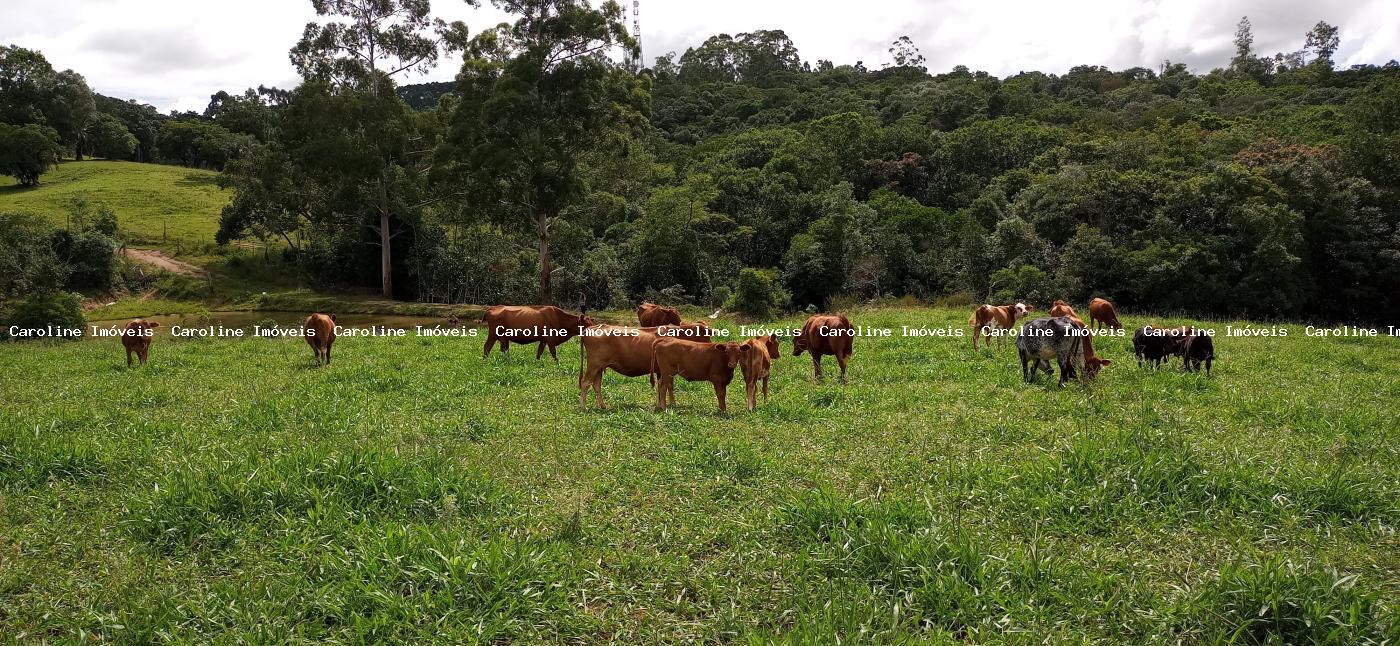 Sítio à venda com 2 quartos, 220000m² - Foto 22