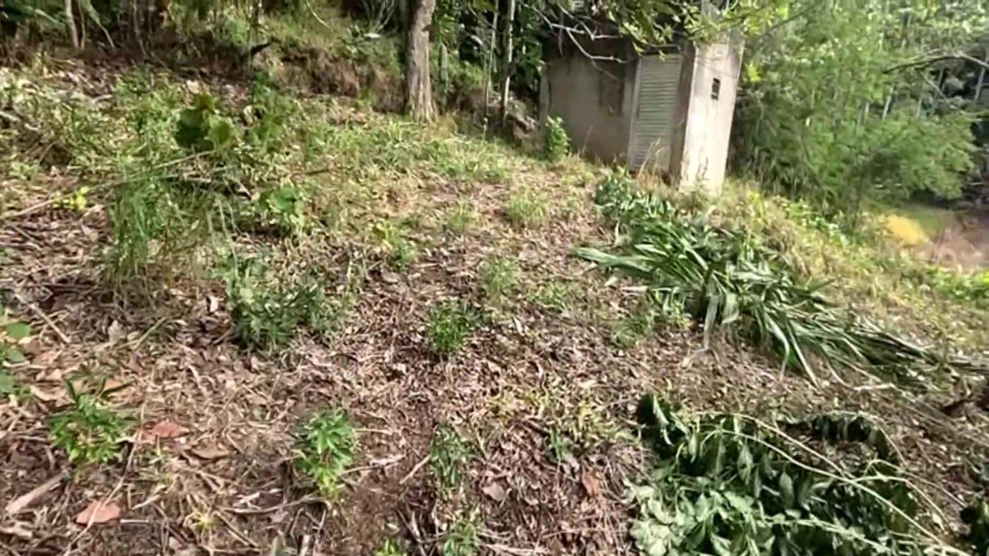 Casa de Condomínio à venda com 3 quartos, 3800m² - Foto 35