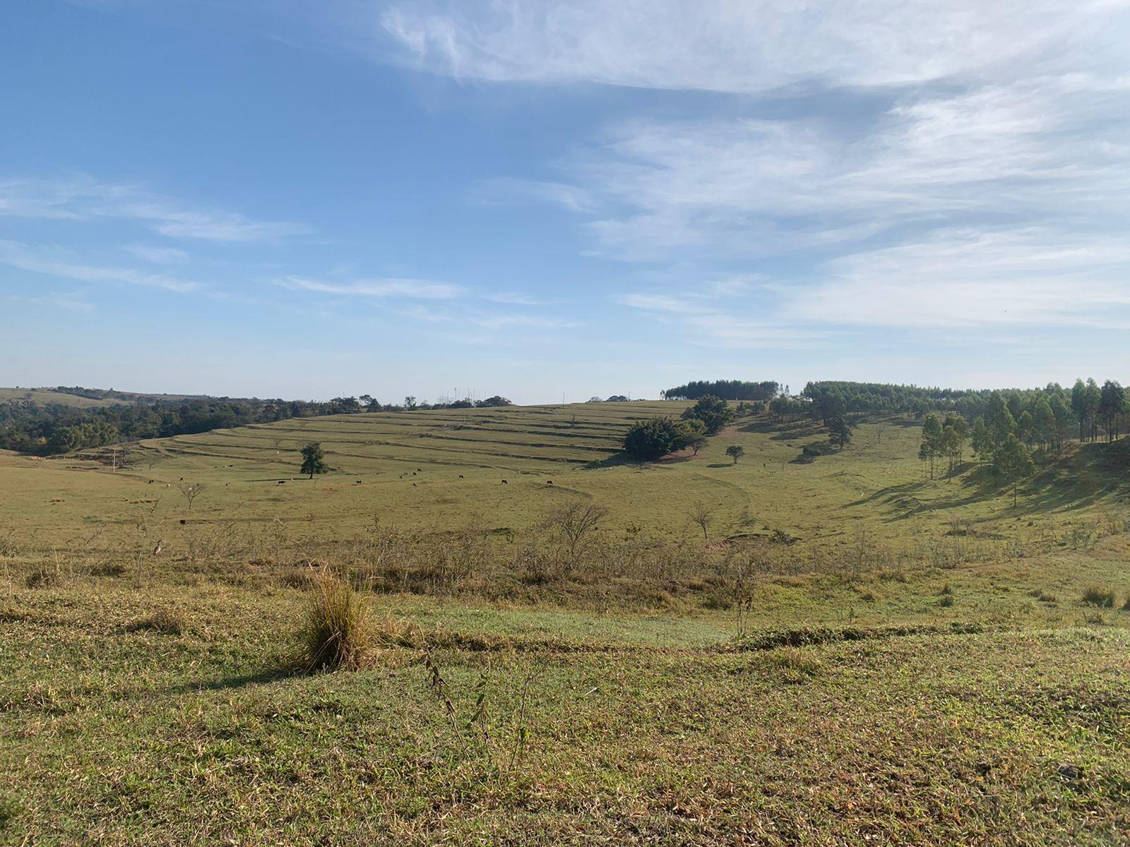 Fazenda à venda com 6 quartos, 6050000m² - Foto 15