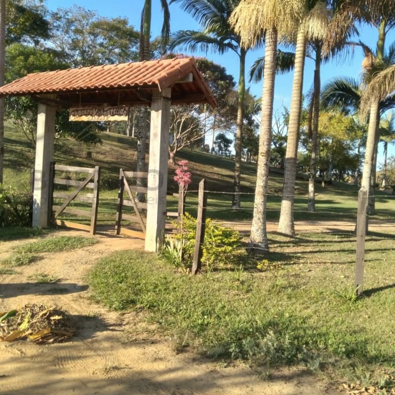 Fazenda à venda com 3 quartos, 250m² - Foto 8