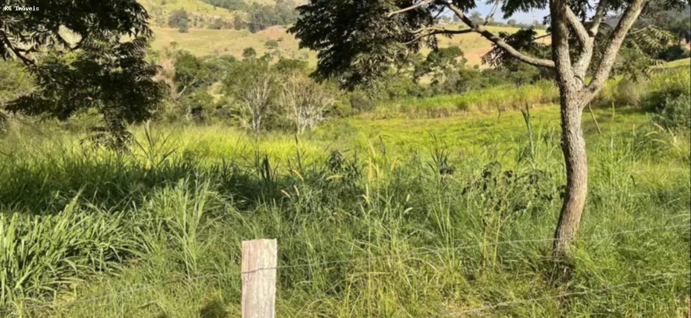 Sítio à venda com 3 quartos, 150m² - Foto 14