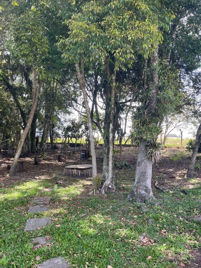 Chácara, 10000 m² - Foto 24