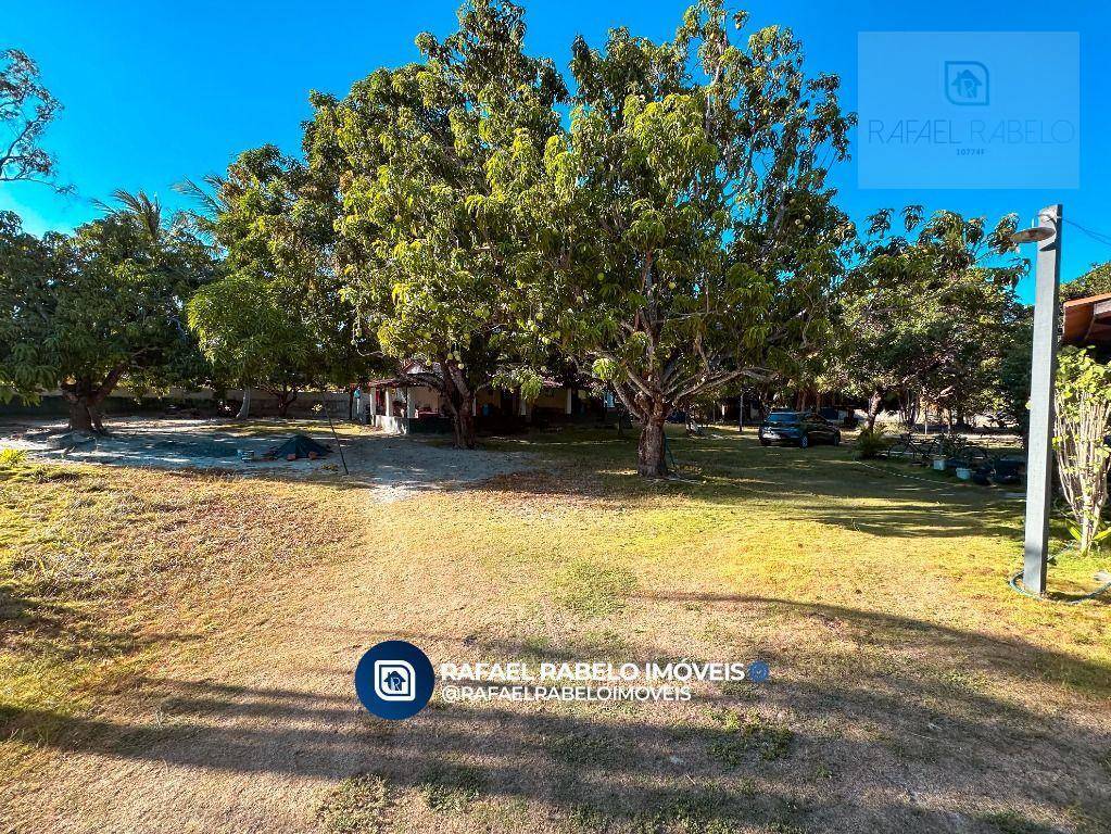 Sítio, 5 quartos, 3 hectares - Foto 5