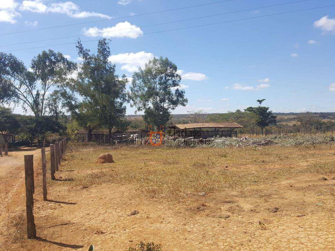 Fazenda, 31 hectares - Foto 5