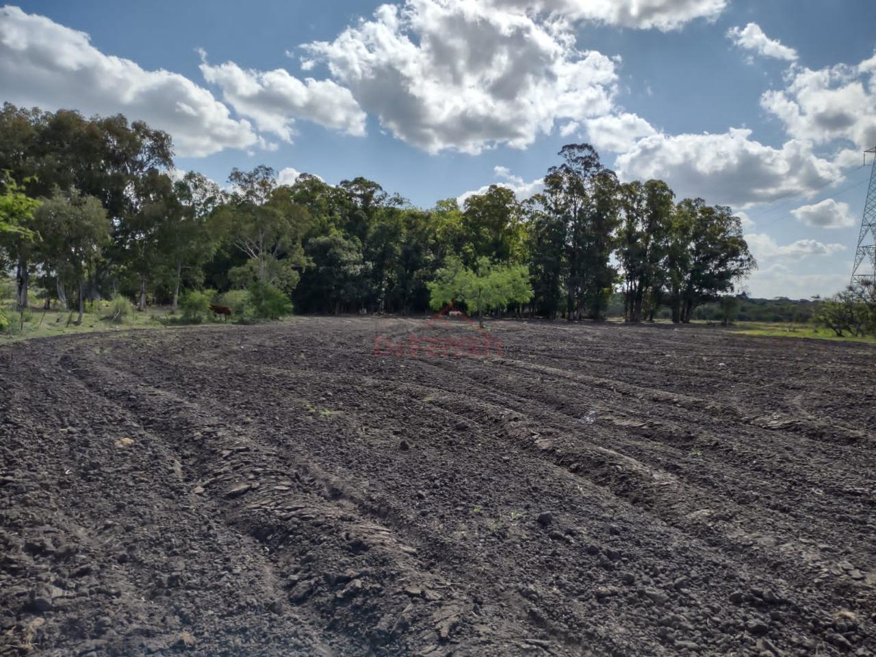 Fazenda-Sítio-Chácara - Foto 8