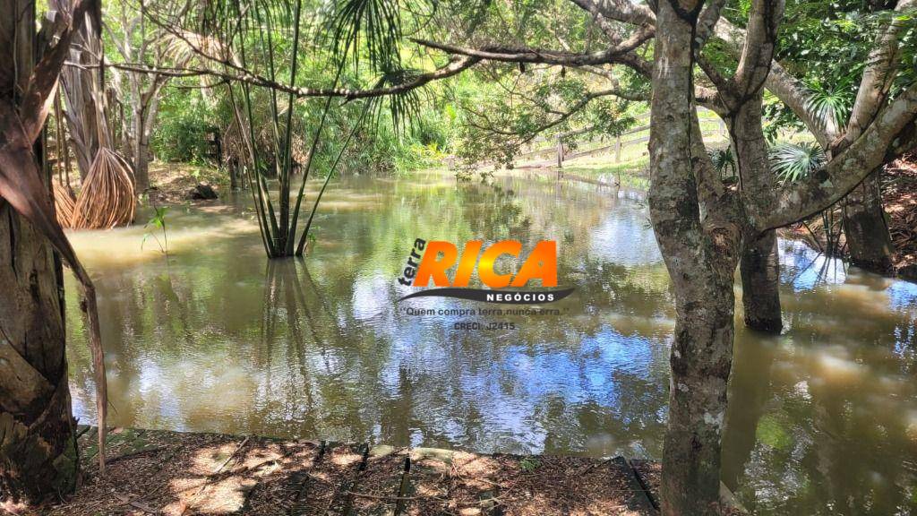 Fazenda, 300 hectares - Foto 16