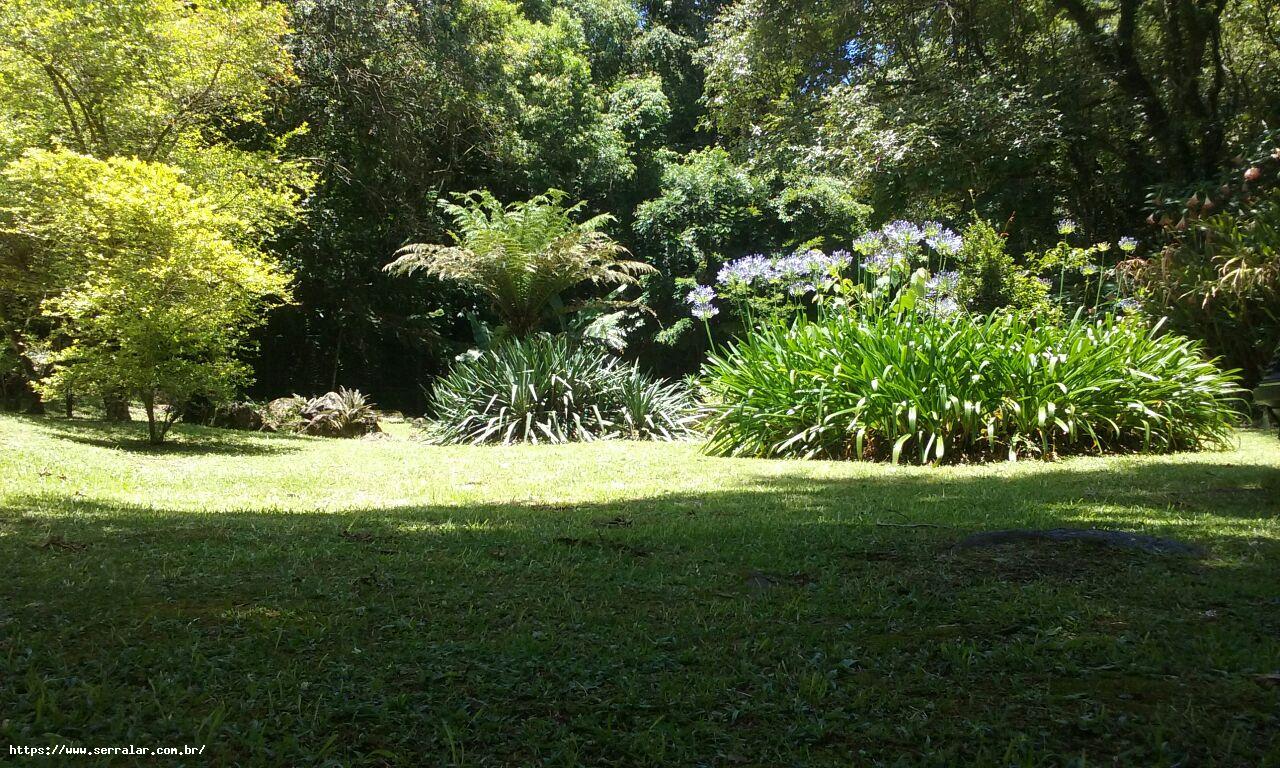 Fazenda à venda com 4 quartos, 15000m² - Foto 45