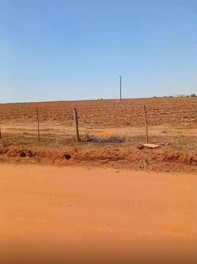 Sítio, 29 hectares - Foto 5