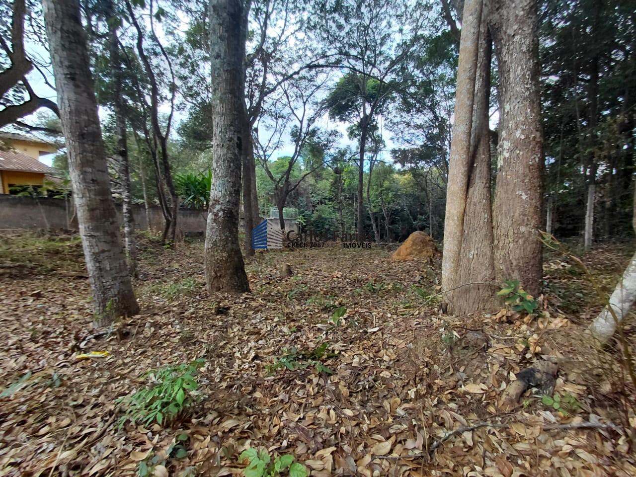 Terreno à venda, 1250m² - Foto 9