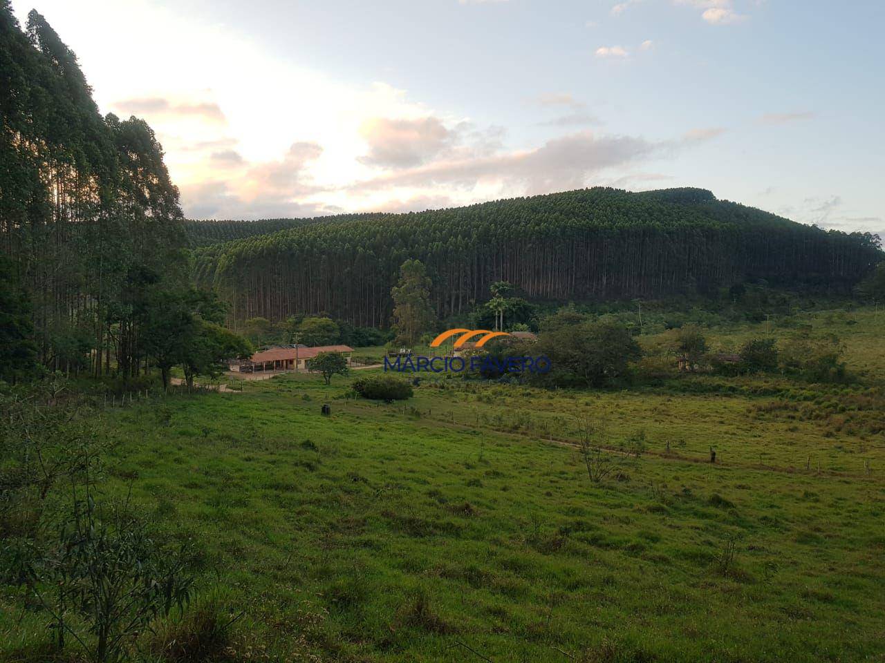 Fazenda, 303 hectares - Foto 5