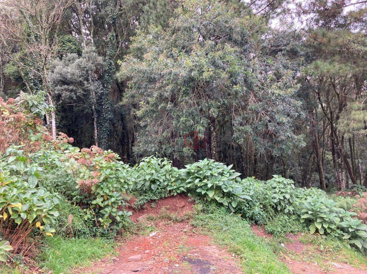 Terreno à venda, 769M2 - Foto 3