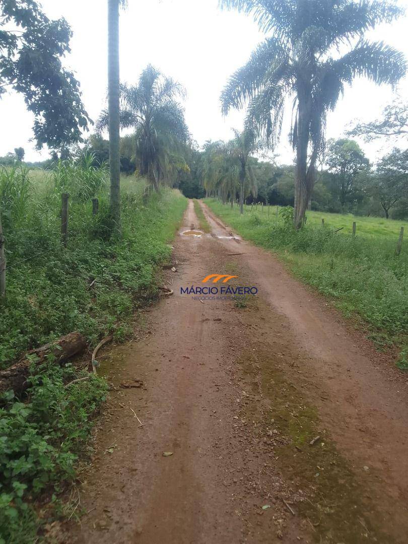 Fazenda, 102 hectares - Foto 2