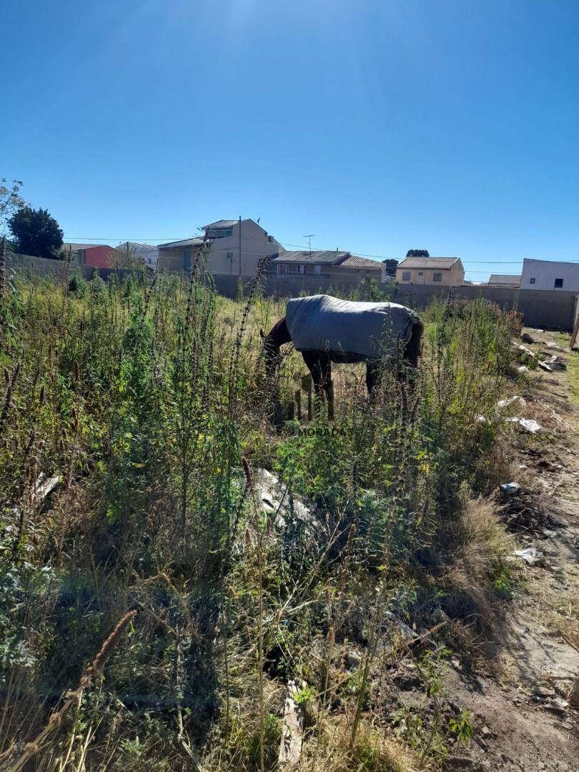 Terreno à venda, 536M2 - Foto 1