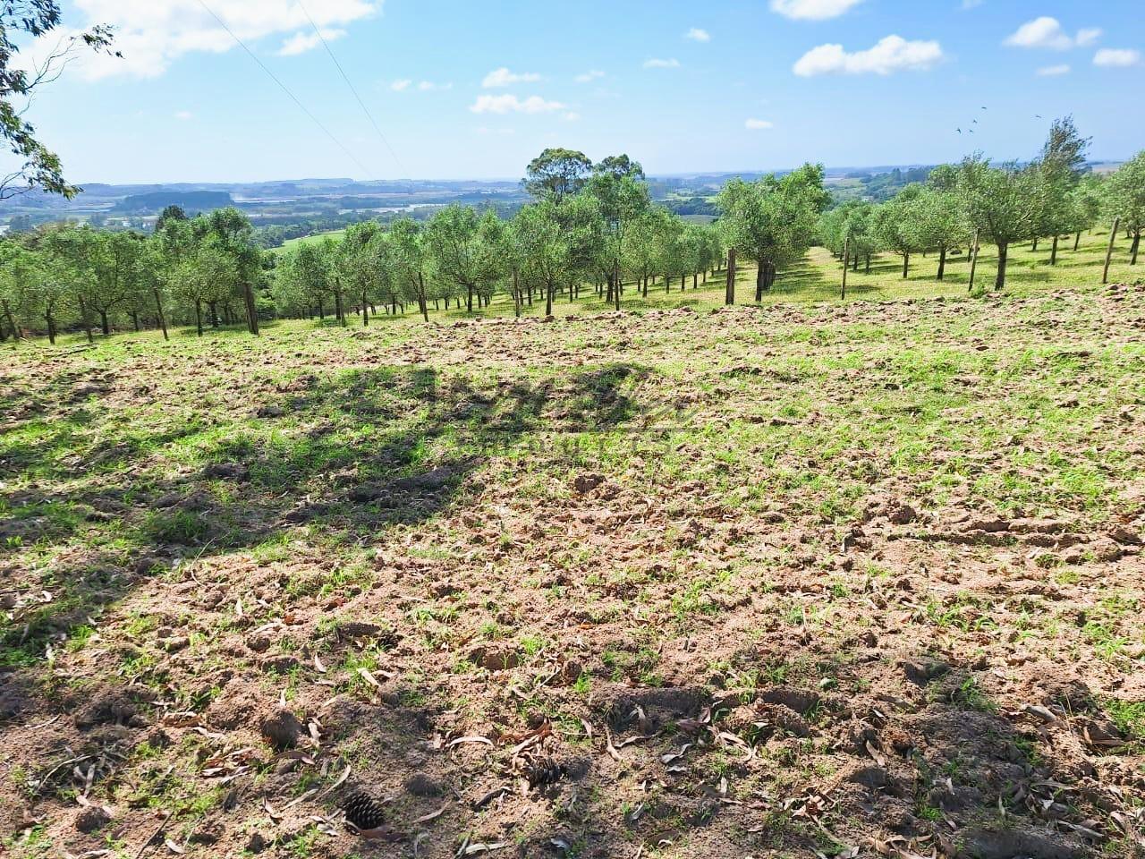 Fazenda à venda, 59m² - Foto 16