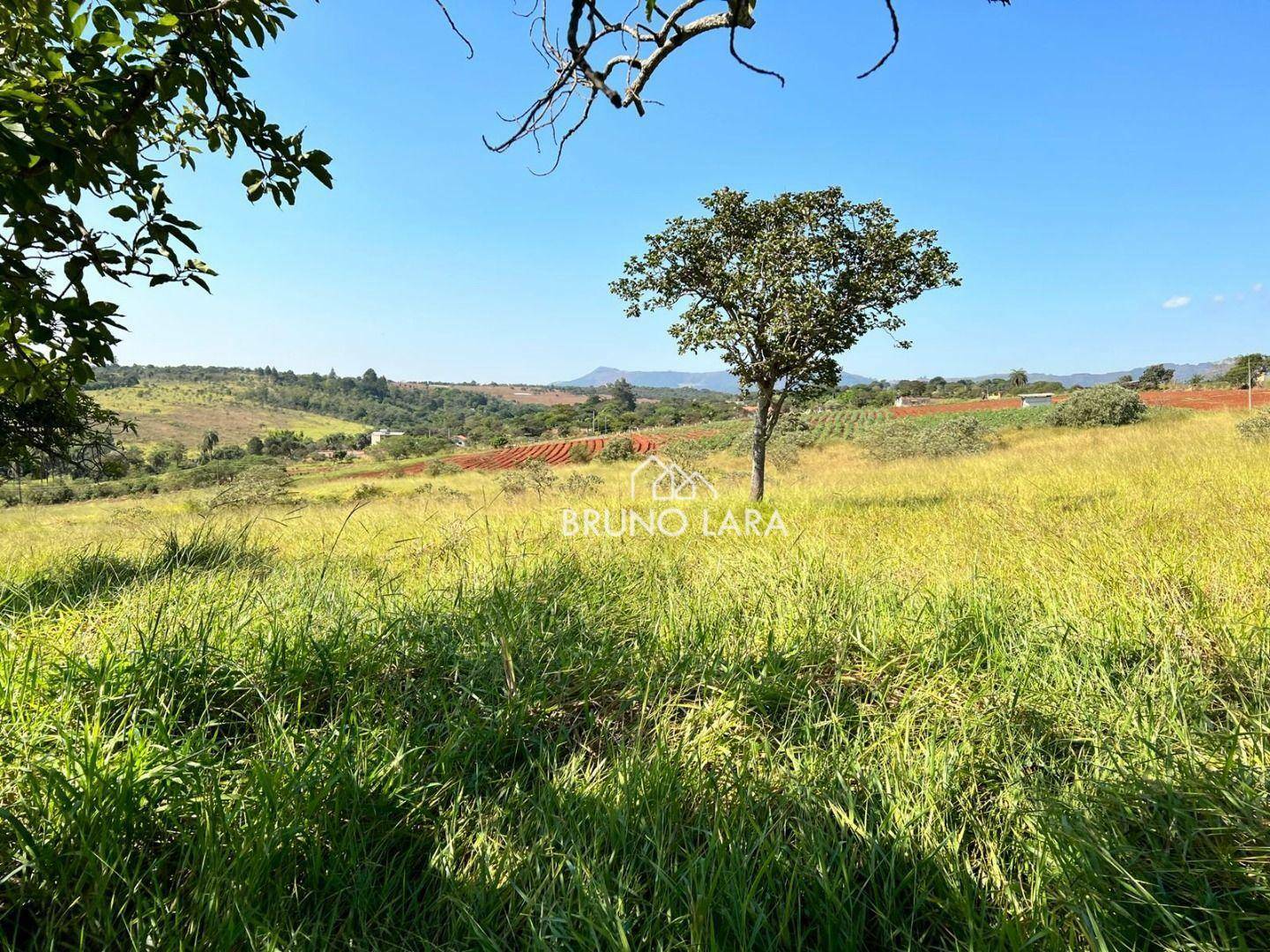 Fazenda à venda com 6 quartos, 1200m² - Foto 13