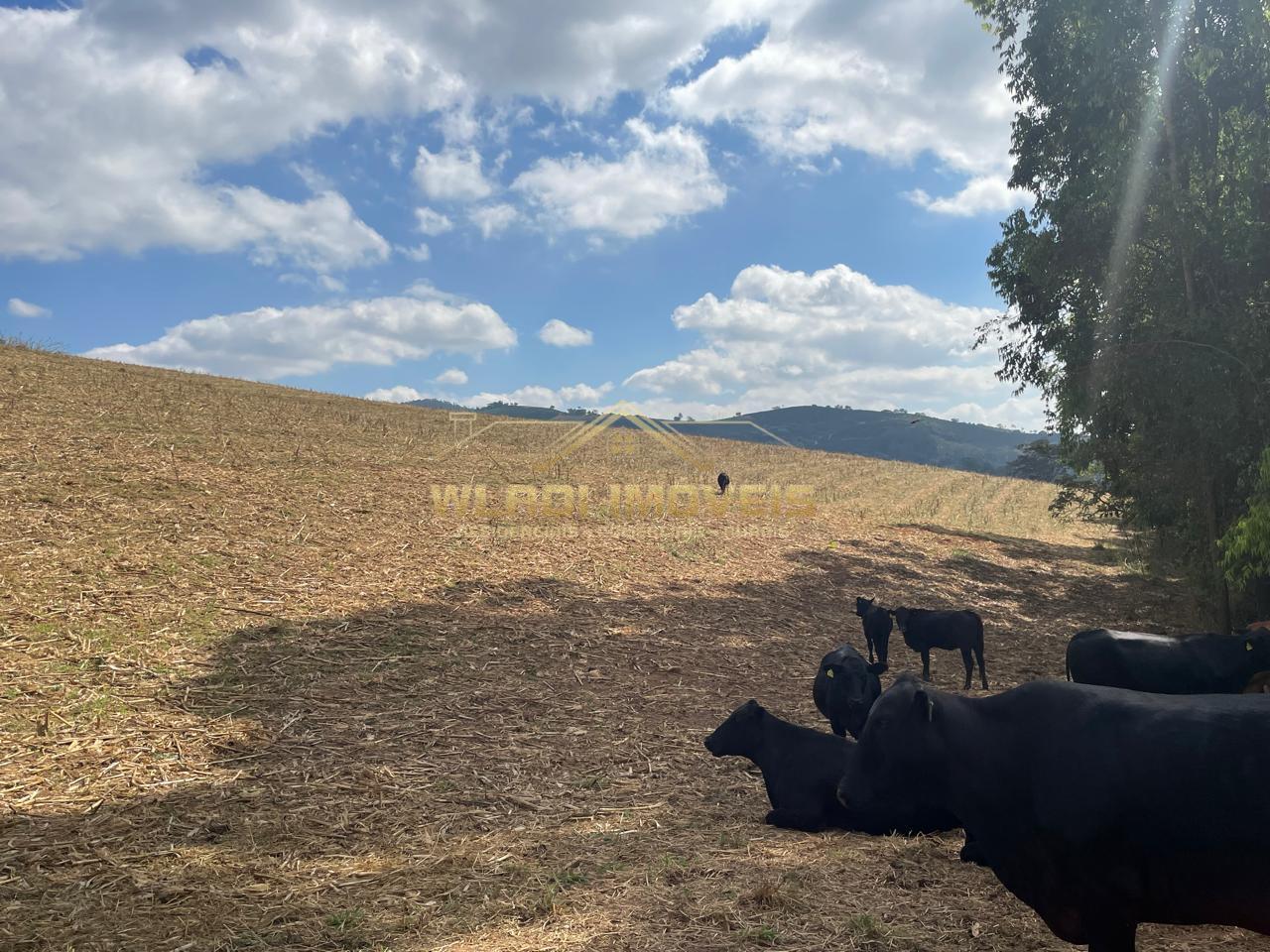 Fazenda à venda, 220m² - Foto 30