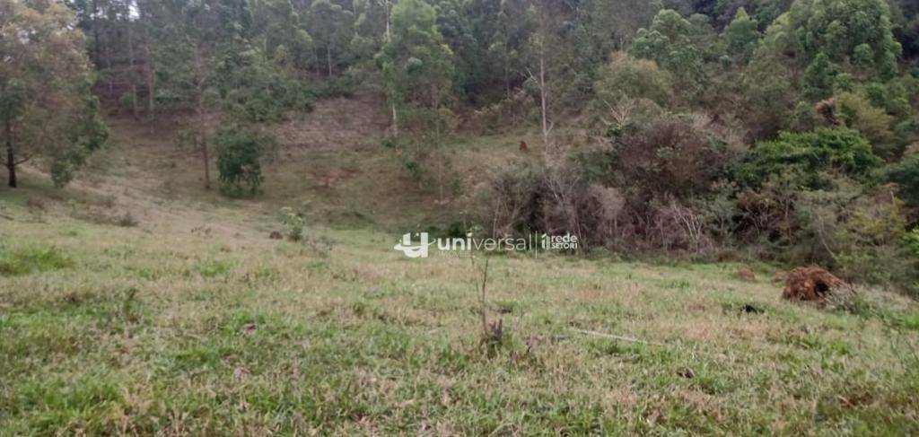 Fazenda à venda com 3 quartos, 1110000M2 - Foto 33