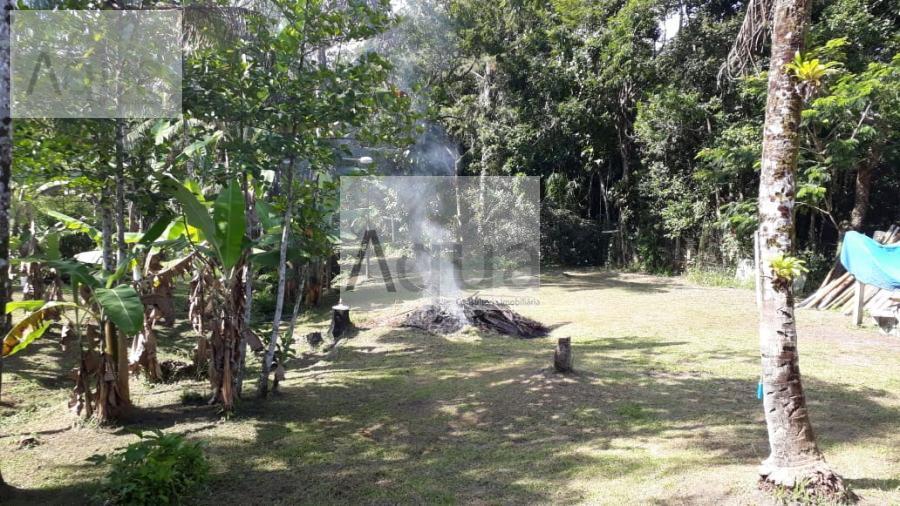 Fazenda à venda com 5 quartos, 2400m² - Foto 27