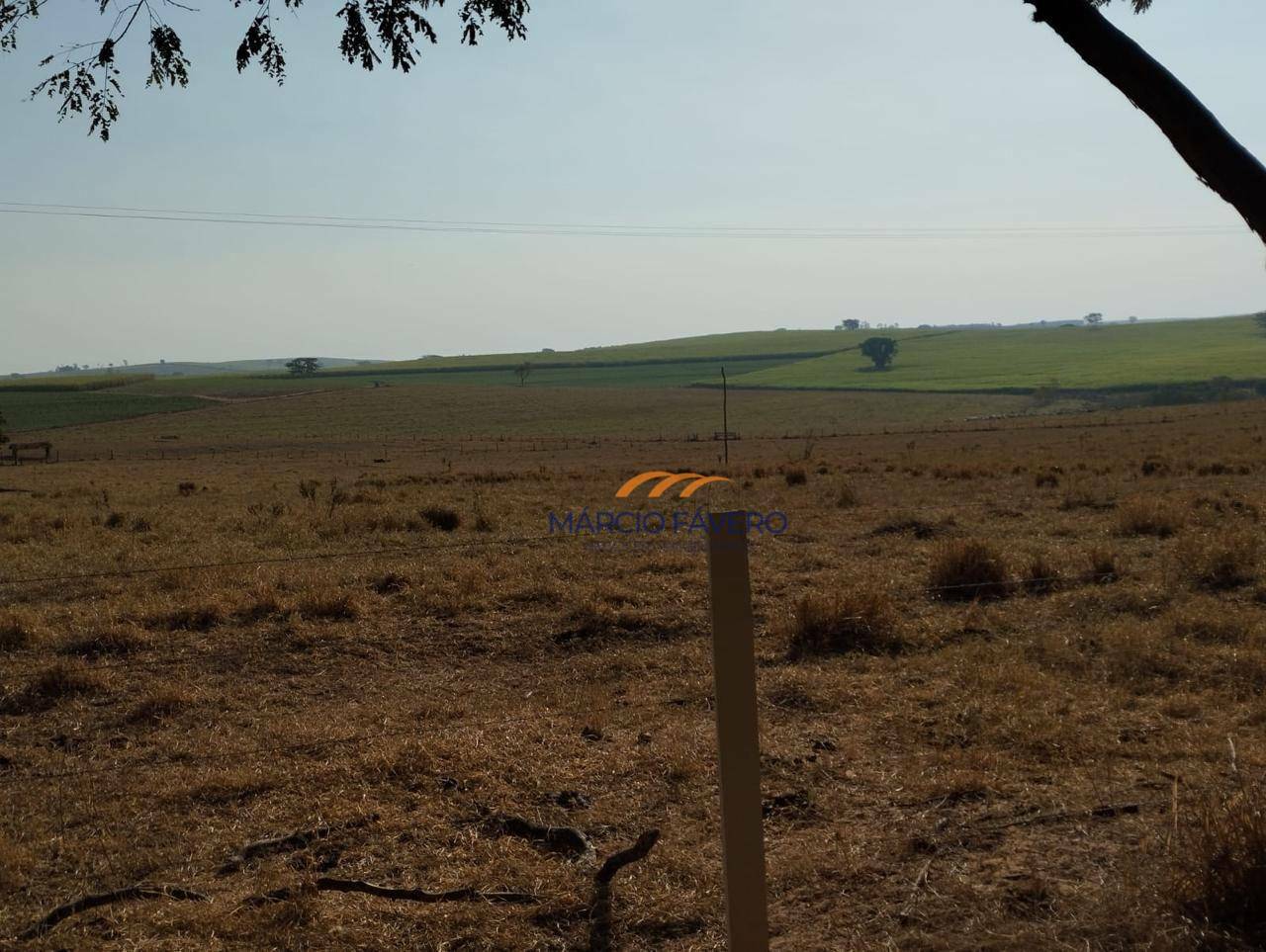 Fazenda à venda, 2831400M2 - Foto 15