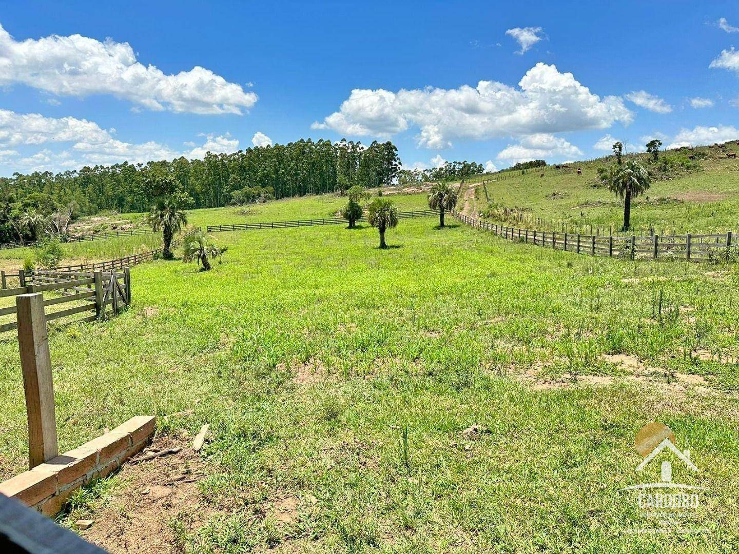 Fazenda à venda com 3 quartos, 1065000M2 - Foto 1