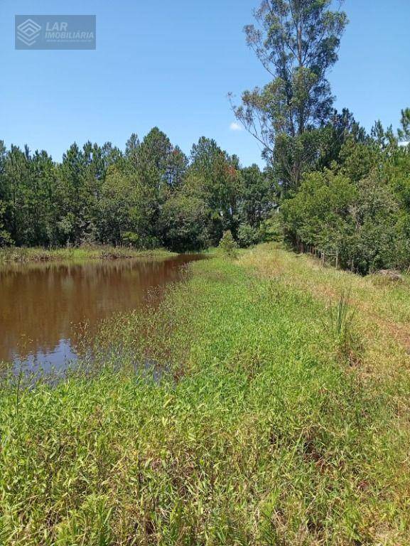 Terreno, 4 hectares - Foto 22