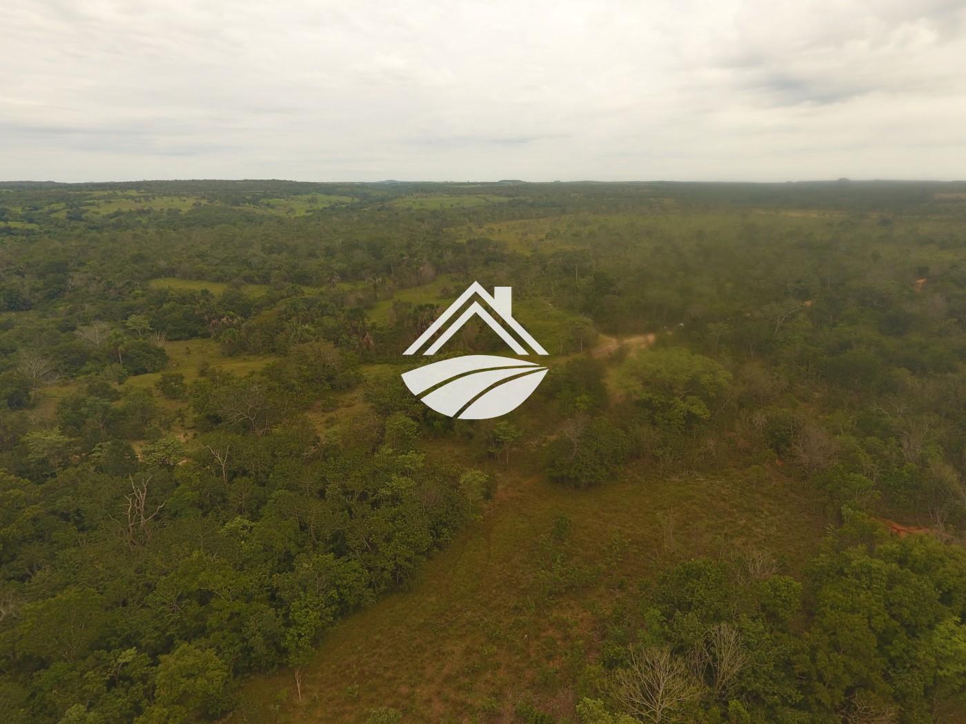 Fazenda à venda, 1m² - Foto 20