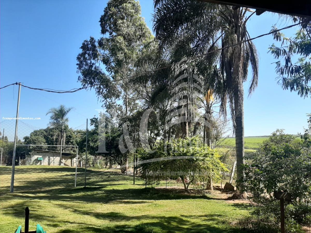 Fazenda à venda com 3 quartos, 5000m² - Foto 2