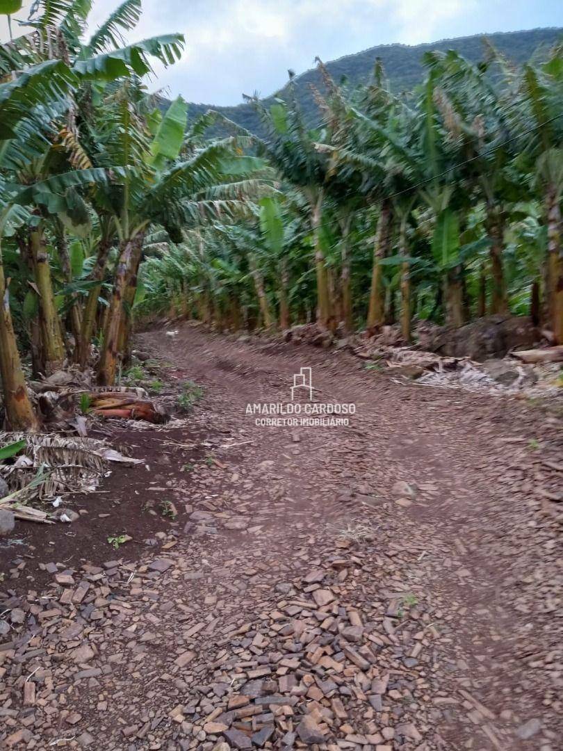 Chácara à venda com 3 quartos, 25000M2 - Foto 17