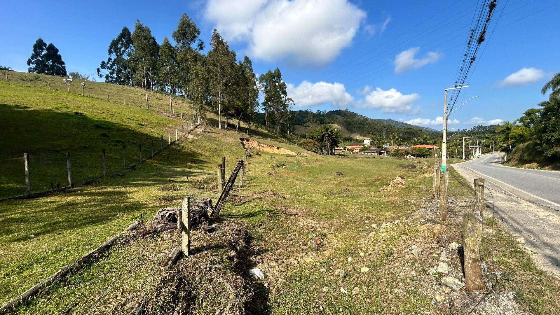 Sítio, 10000 m² - Foto 19