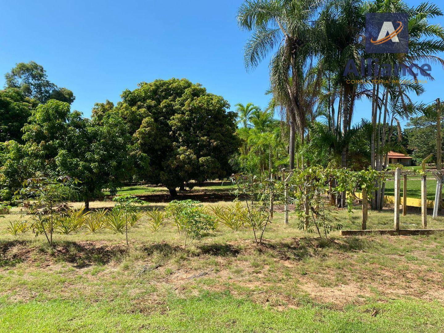 Chácara à venda, 1m² - Foto 4