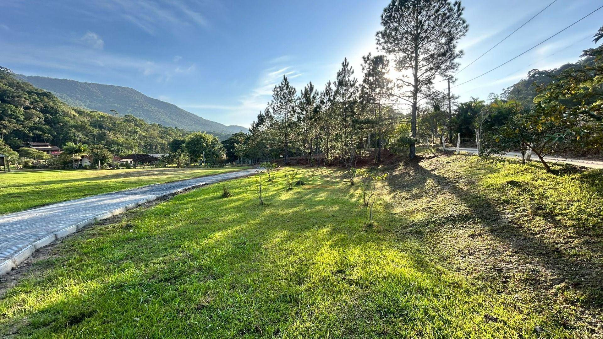 Sítio, 24 m² - Foto 71