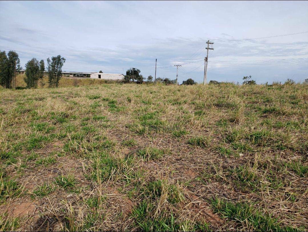 Terreno à venda, 55000M2 - Foto 6