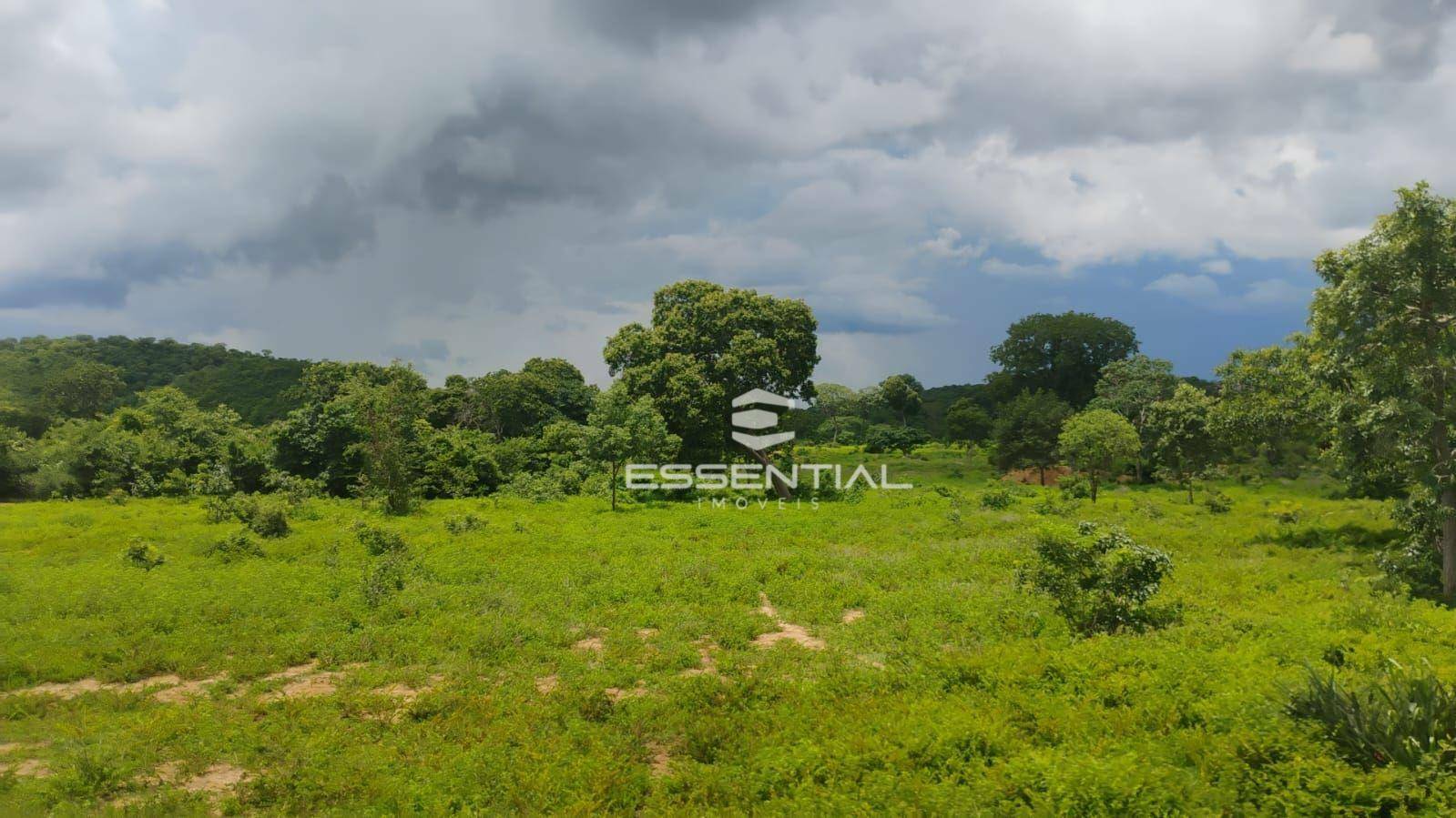 Fazenda-Sítio-Chácara, 44 hectares - Foto 1