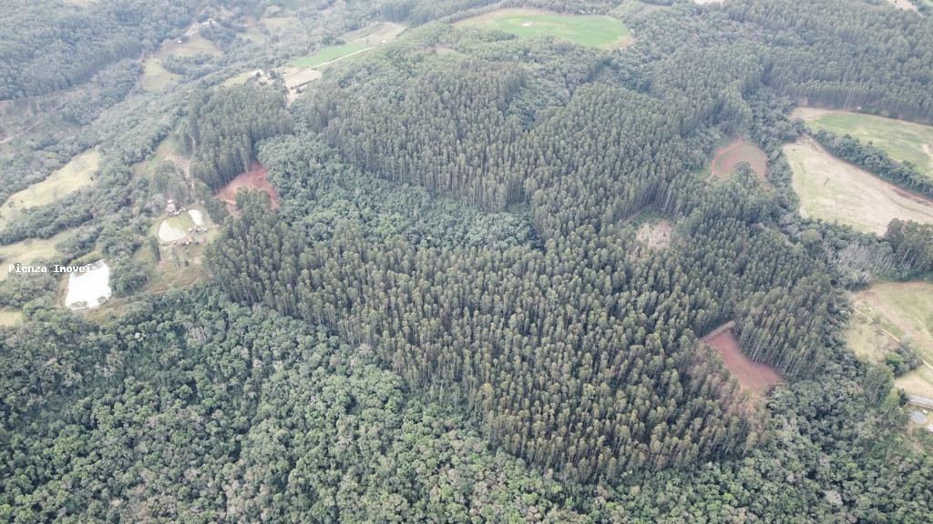 Loteamento e Condomínio, 35 hectares - Foto 11