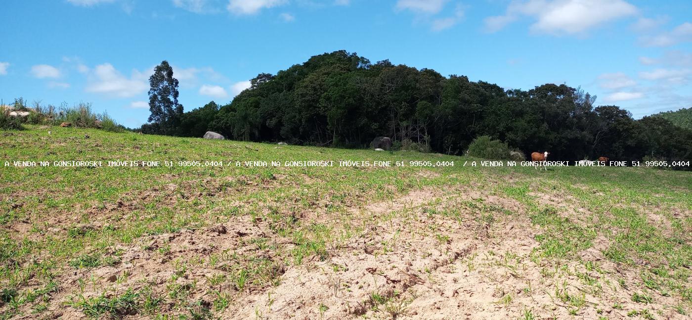 Fazenda à venda com 2 quartos, 600000m² - Foto 38