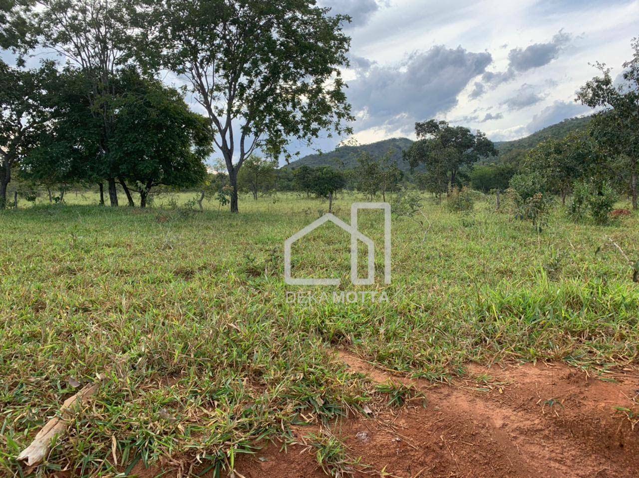 Fazenda à venda com 3 quartos, 21217700000M2 - Foto 9