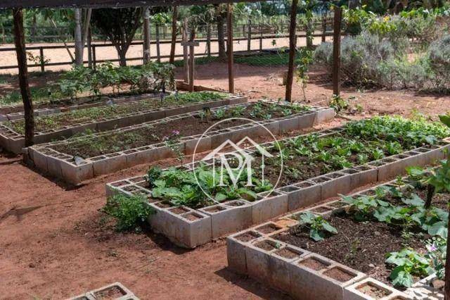 Haras e Área Rural Padrão à venda com 3 quartos, 1050m² - Foto 9