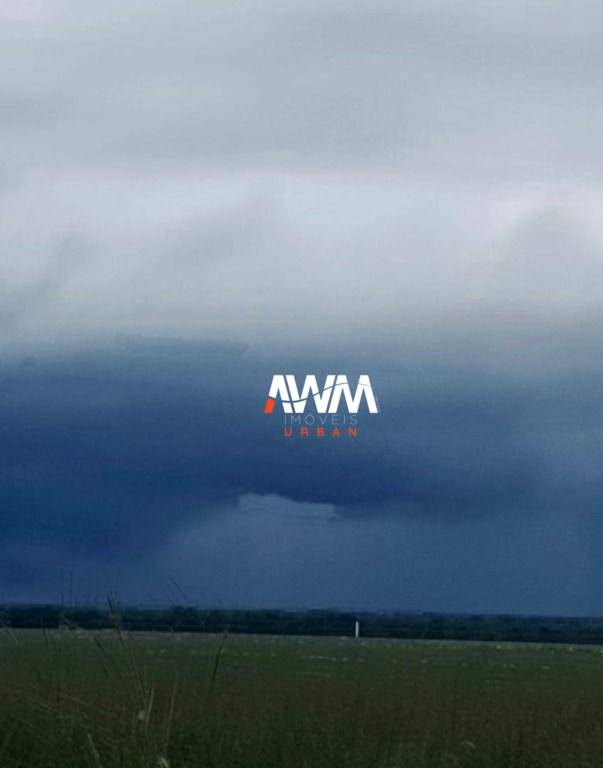 Fazenda, 1239 hectares - Foto 7