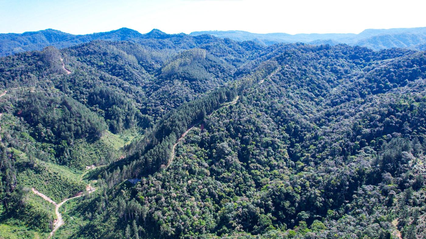 Fazenda à venda com 4 quartos, 4140000m² - Foto 8