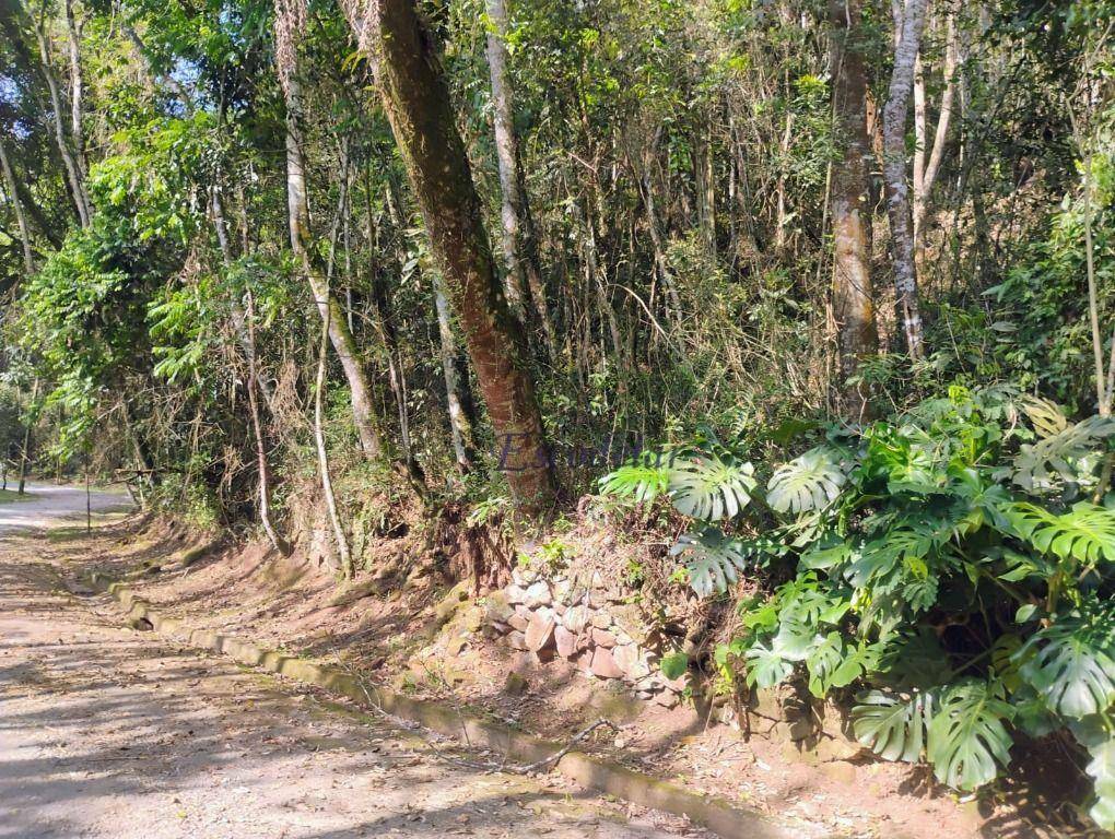 Loteamento e Condomínio à venda, 1270M2 - Foto 4