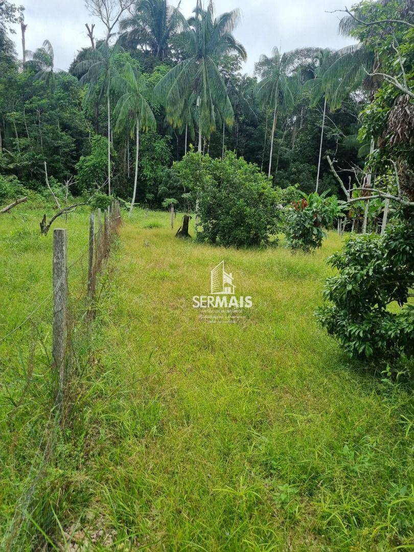 Chácara à venda, 6000M2 - Foto 7