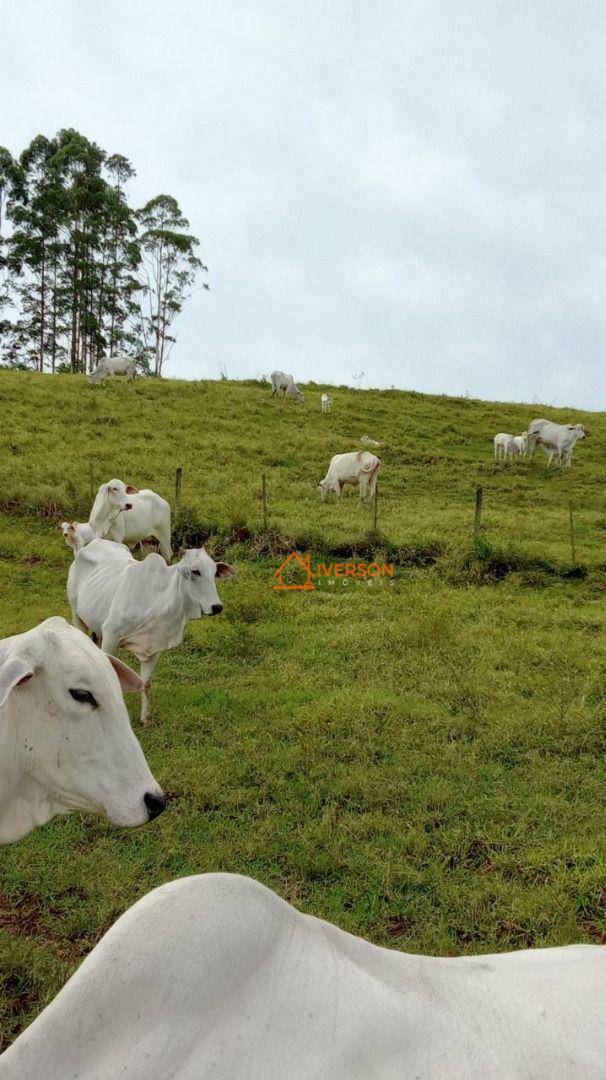 Fazenda à venda com 2 quartos, 2662000M2 - Foto 8