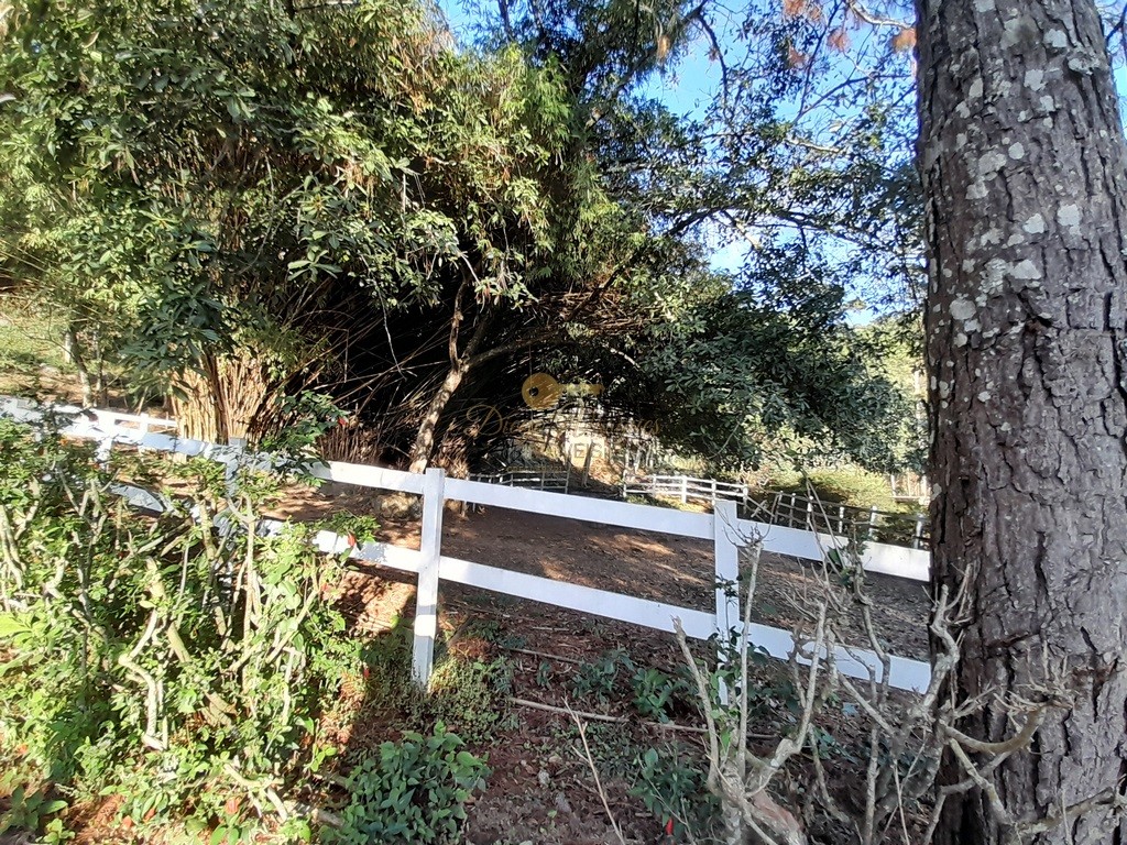 Fazenda à venda, 140000m² - Foto 3