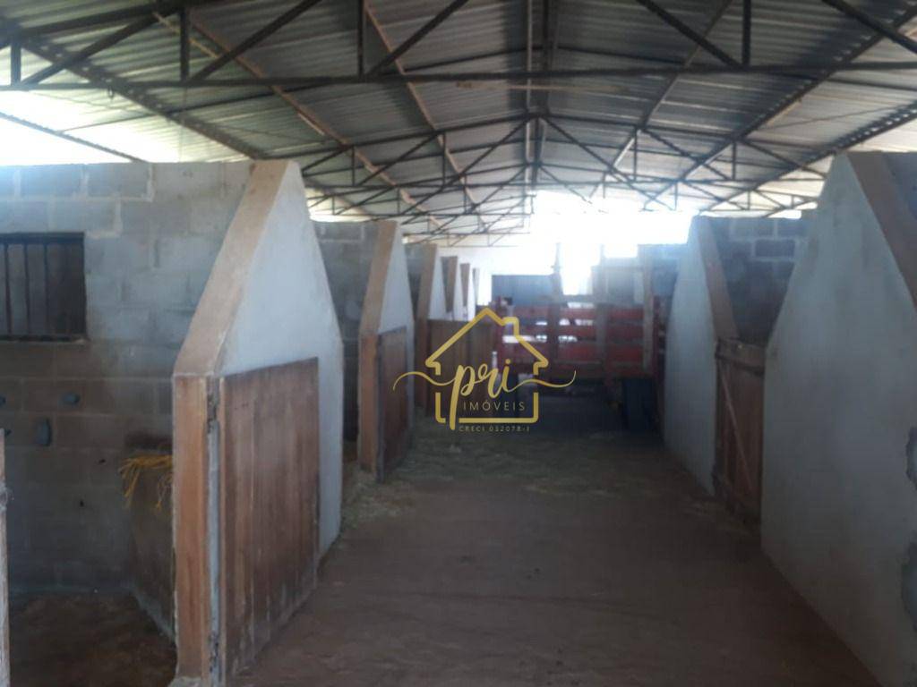 Haras e Área Rural Padrão à venda com 4 quartos, 1000m² - Foto 33