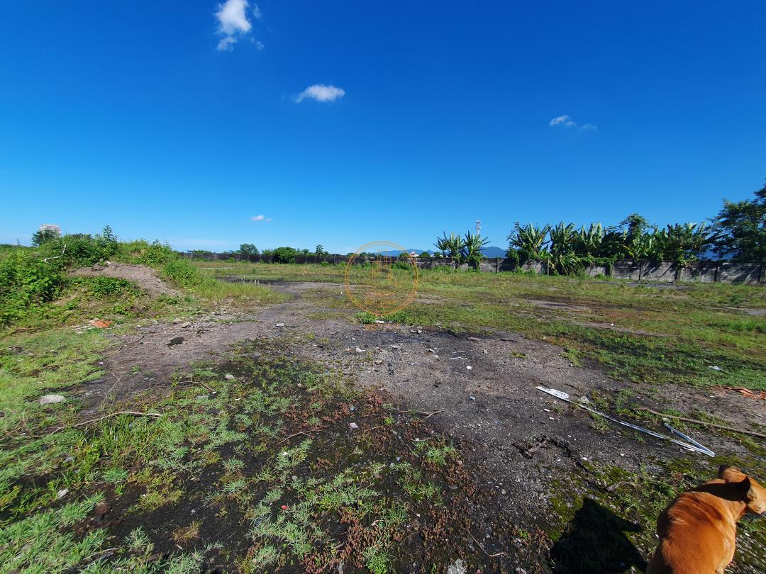 Terreno à venda e aluguel, 4000m² - Foto 2